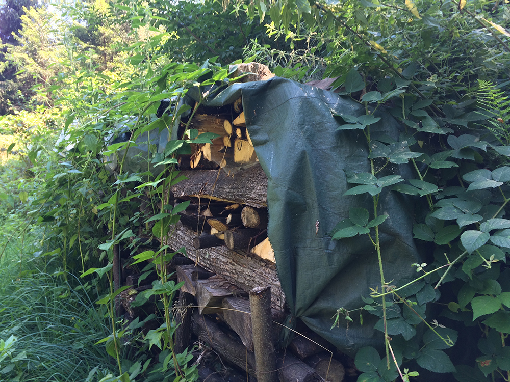 wood-collected-for-winter-1
